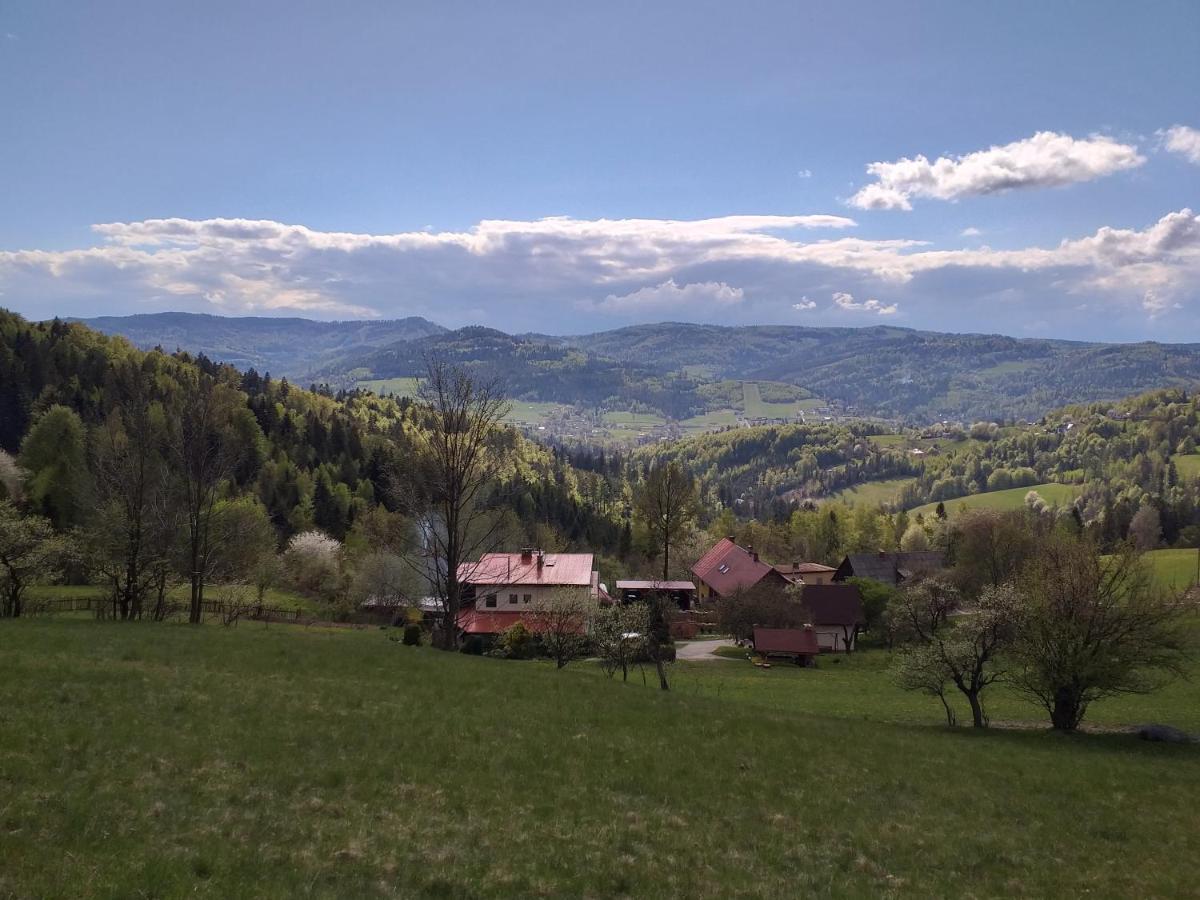 Chatka Milkowska Visla Exteriér fotografie