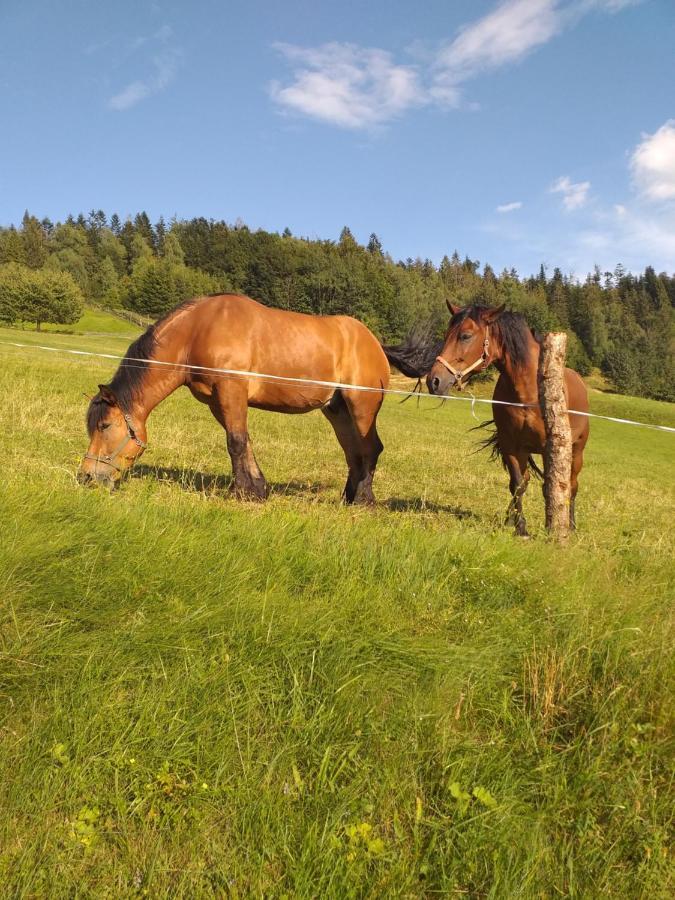 Chatka Milkowska Visla Exteriér fotografie